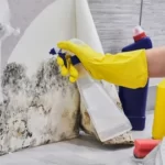 mould cleaning Sydney