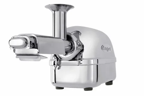 Angel Twin Gear Juicer