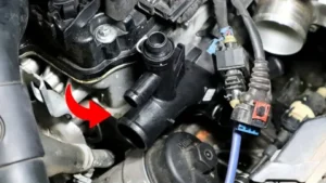 Cruze Thermostat Hose