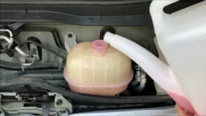 Dodge Journey Overflow Bottle